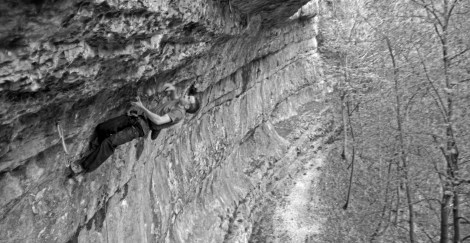 The Auctioneer (8a+)