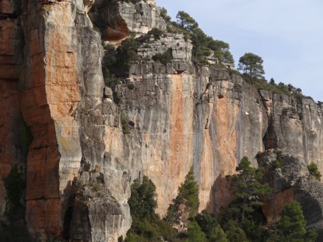 Jack on quite a line! © Nathan Lee
