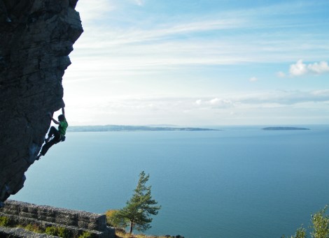 Release the Hounds © Howard Lawledge