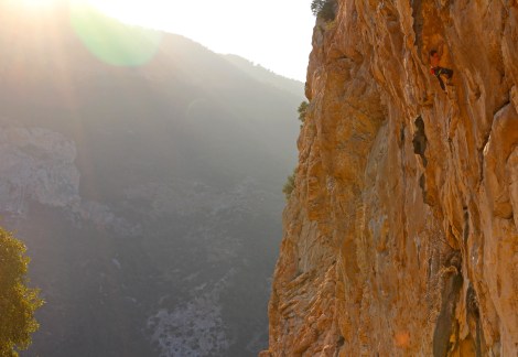 Randi © Jack Lawledge