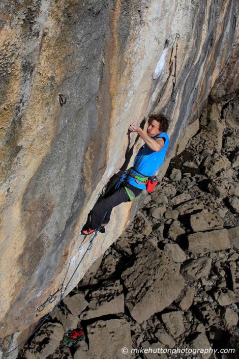 Huffing and Puffing up Megalopa © Mike Hutton