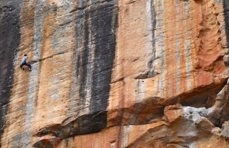 Resting on Snakes on a Train © Gavin Bonello