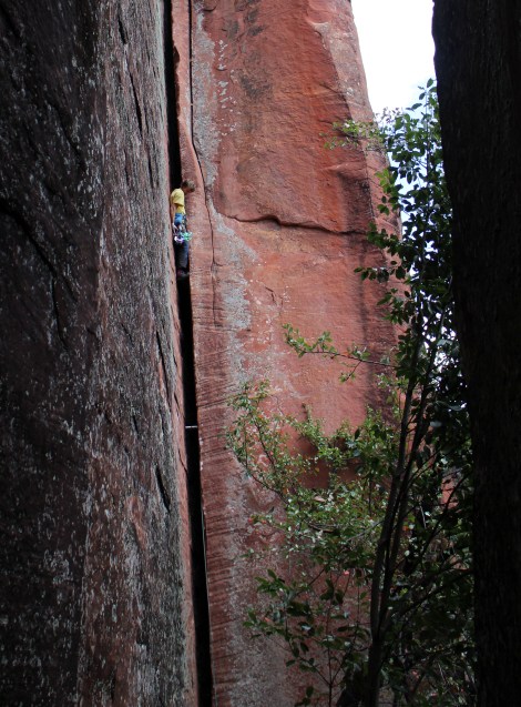 Don't be a Pussy © Britney